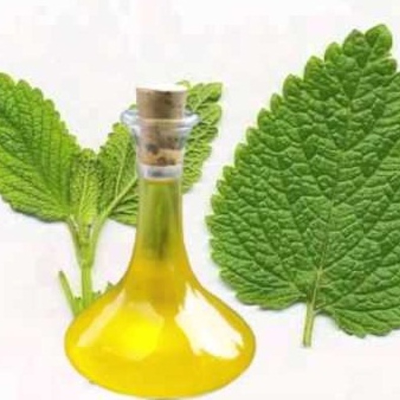 زيت المليسا