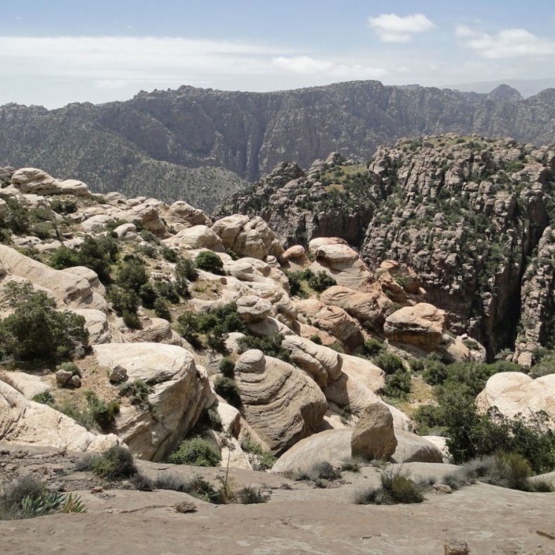 محمية ضانا الطبيعية تعد وجهة مثالية لمحبي الطبيعية وهواة الذهاب في رحلات استكشافية