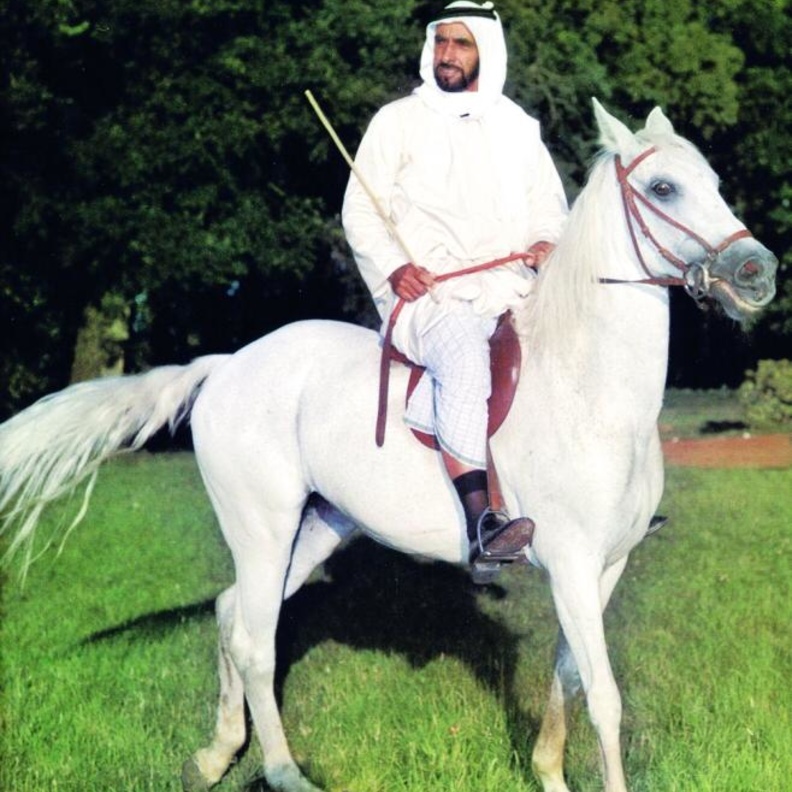 دمج منطقتي المقطع وبوابة أبوظبي تحت اسم منطقة ربدان