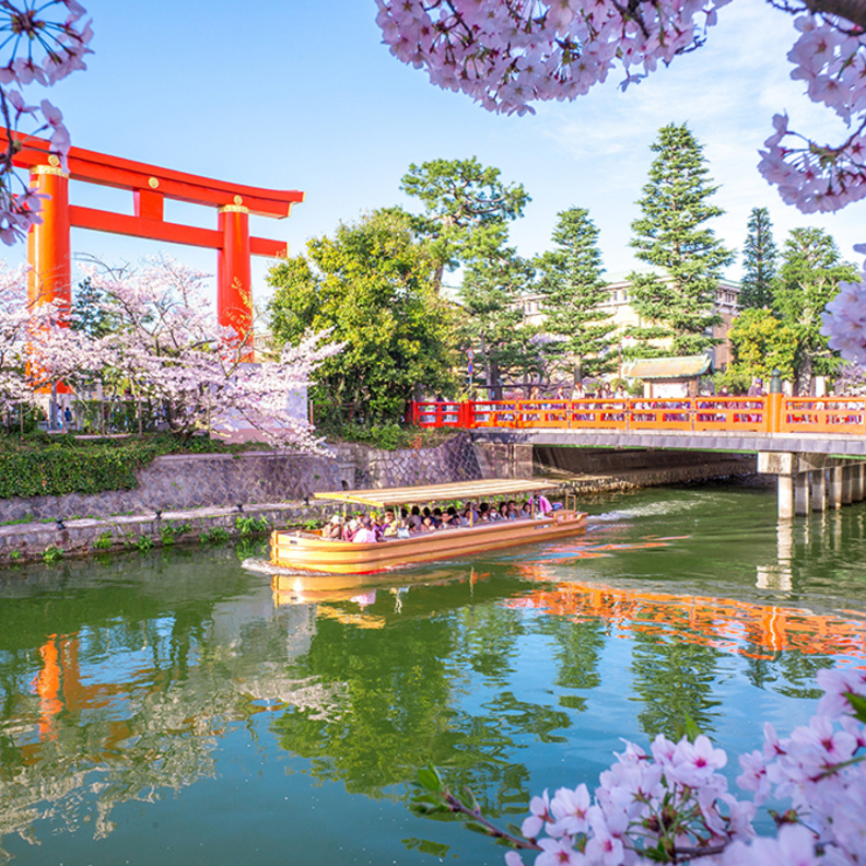 أفضل الوجهات لمشاهدة أزهار الكرز في ربيع 2019