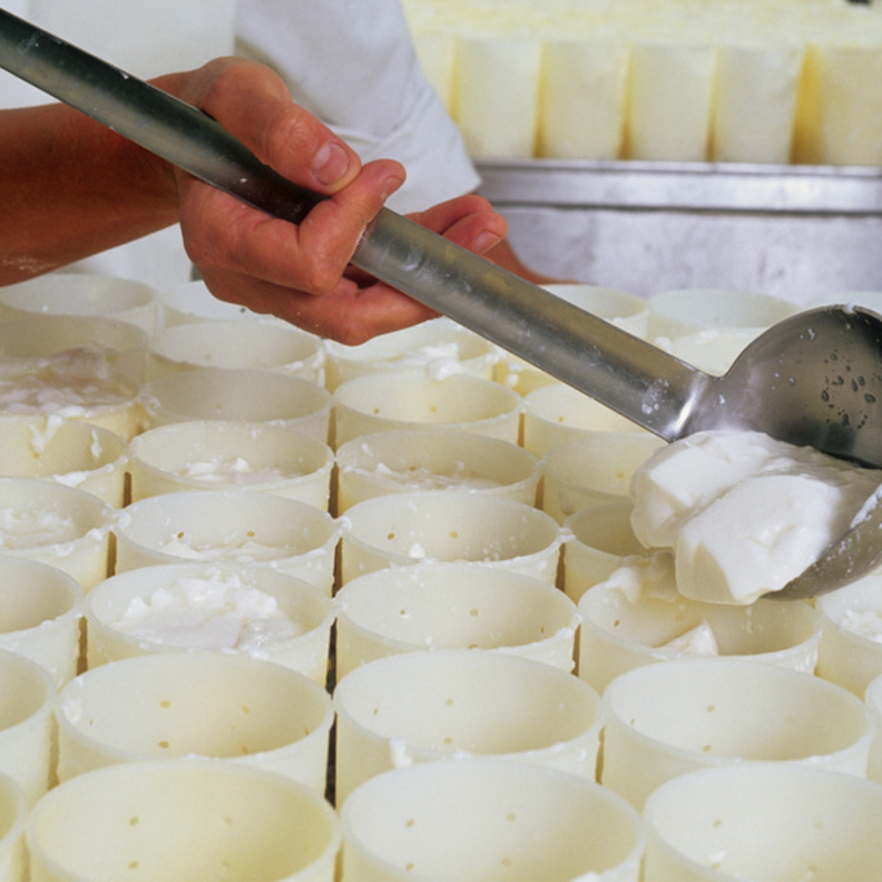 الجبن المطبوخ