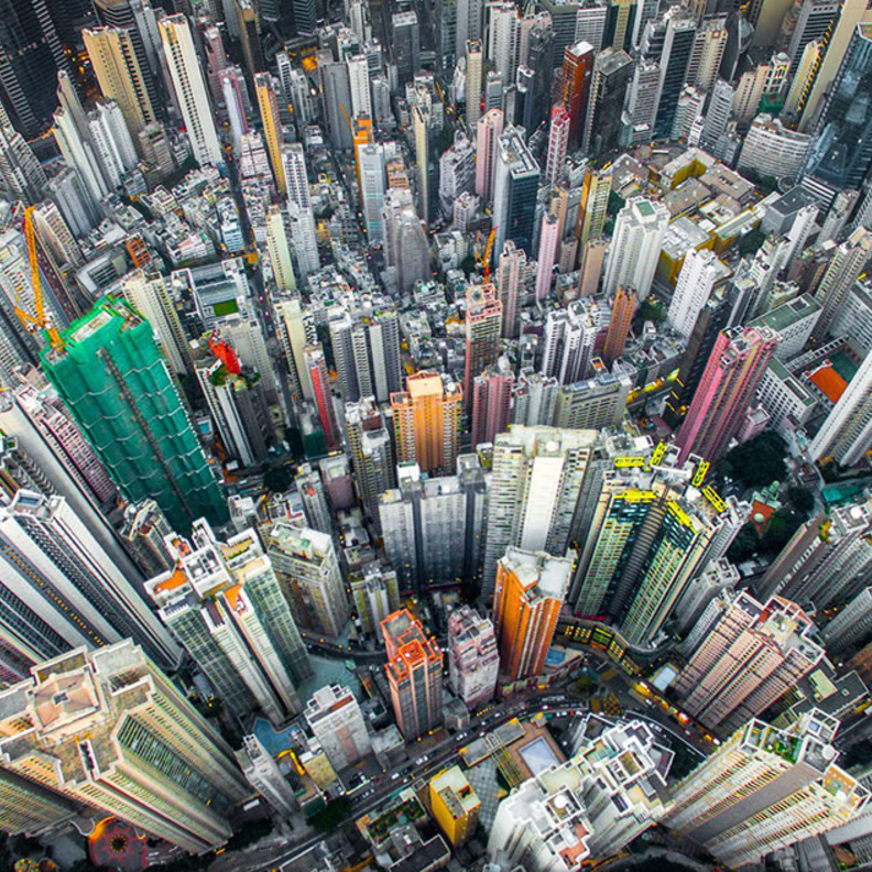 Urban Jungle, Hong Kong