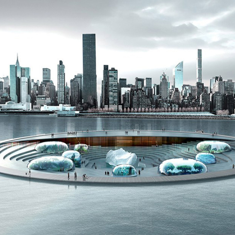 نيويورك أكواريوم .. عالم البحار في فقاعات شفافة