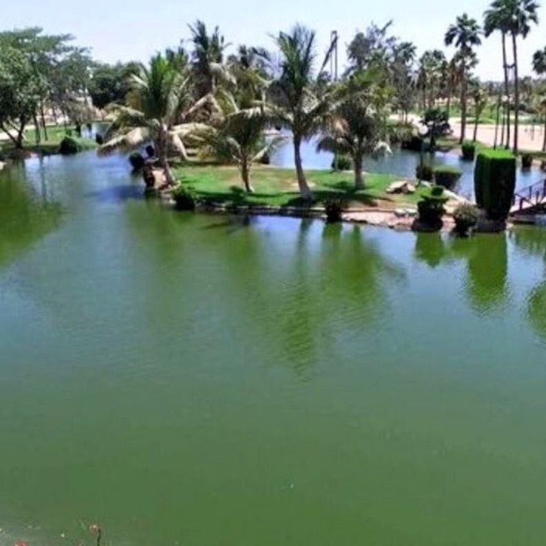 حديقة الفيروز.. سحر التنزه وسط الطبيعة الساحرة والأجواء الخلابة في ينبع - المصدر تويتر 