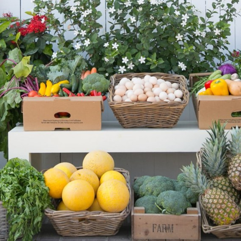 أفضل منصات توصيل الخضراوات والفواكه الطازجة في الإمارات