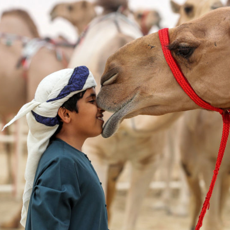 مهرجان الظفرة في إمارة أبوظبي .. إعتزاز بالثقافة وفخر بالتراث
