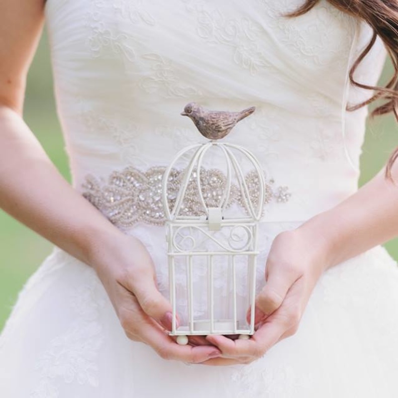 عريس في اليد خير من 10 على الشجر