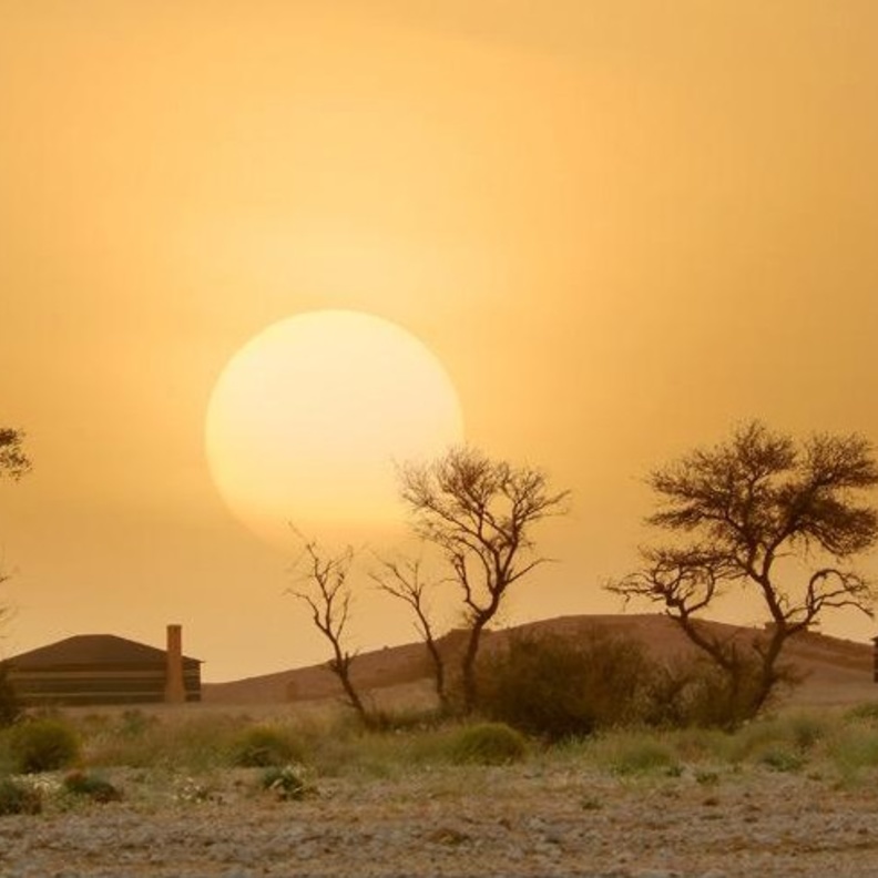 منتزه الثمامة البري