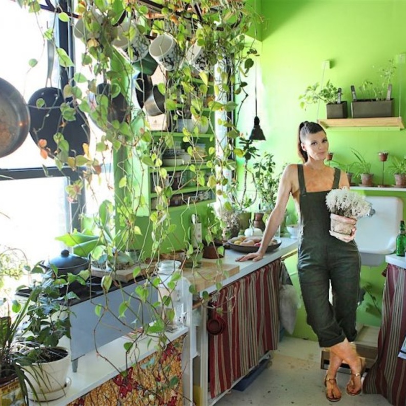 تساعد النباتات الموجودة في المساحات الداخلية على تقليل الضوضاء الخلفية