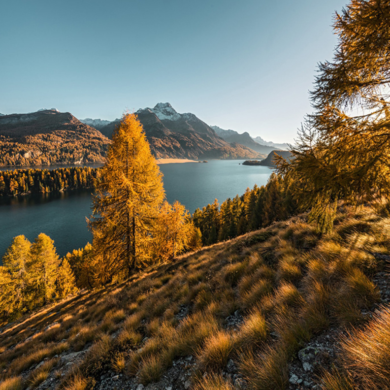 التعاطي مع المياه