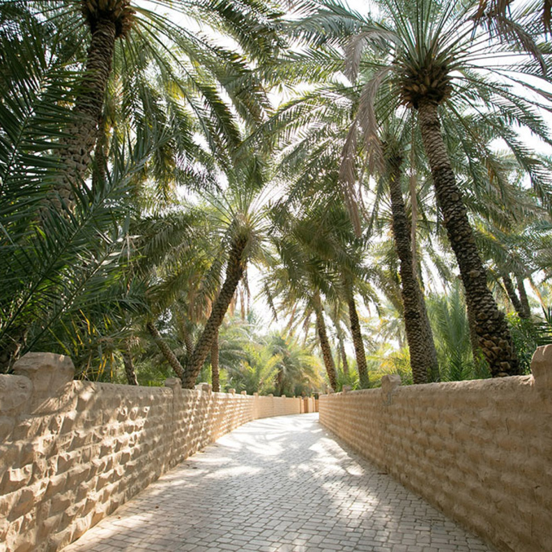 سلسلة من الفعاليات الثقافية والترفيهية في منطقة العين بإمارة أبوظبي