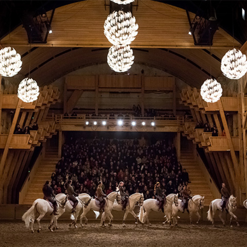 عروض مسرحية عالمية لمهارات الفروسية في قلعة الجاهلي بالعين