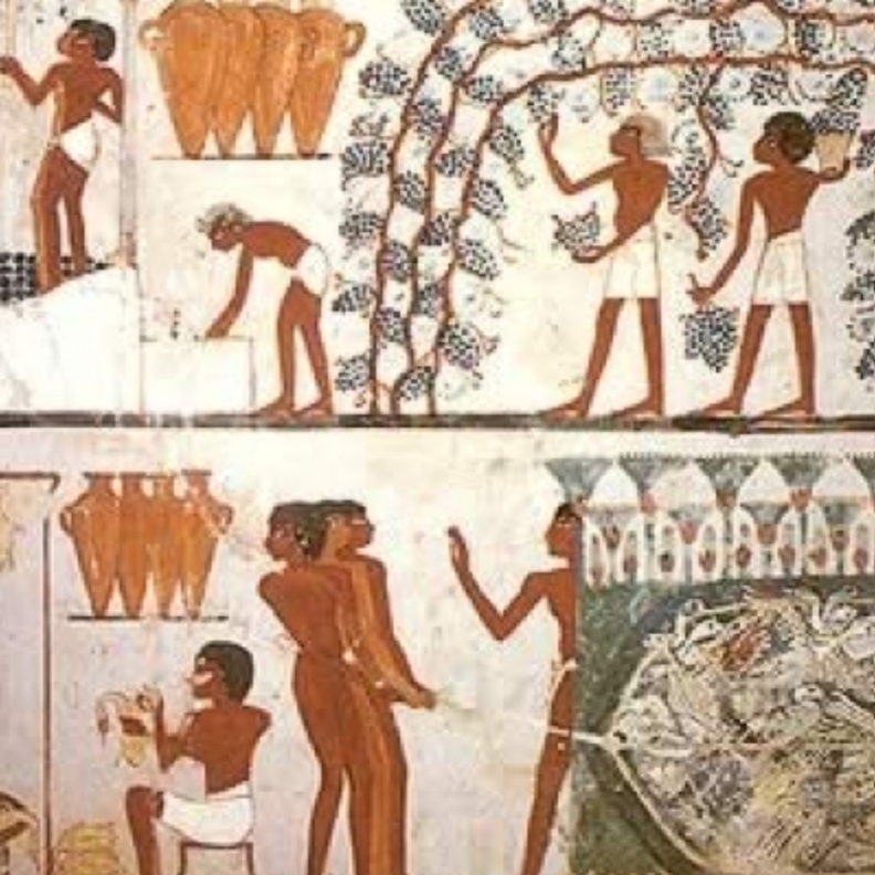 الفراعنة اول من عرفوا نظام البوفيه المفتوح