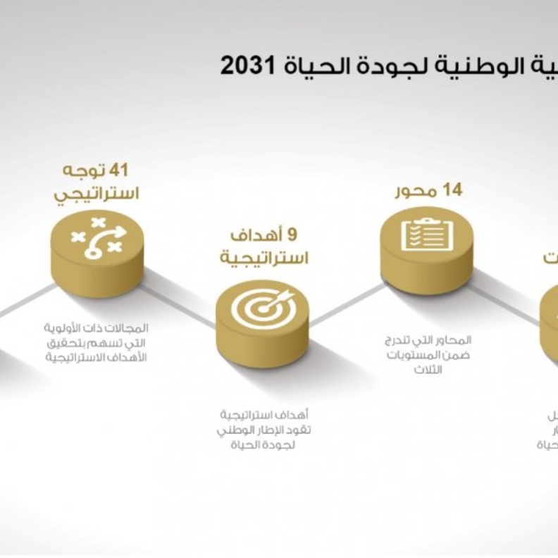 مبادئ دولة الإمارات للإستراتيجية الوطنية لجودة الحياة 2031 