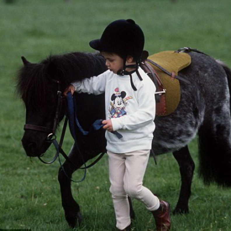 الأمير جورج يقوم بتجربة امتطاء حصان قزم