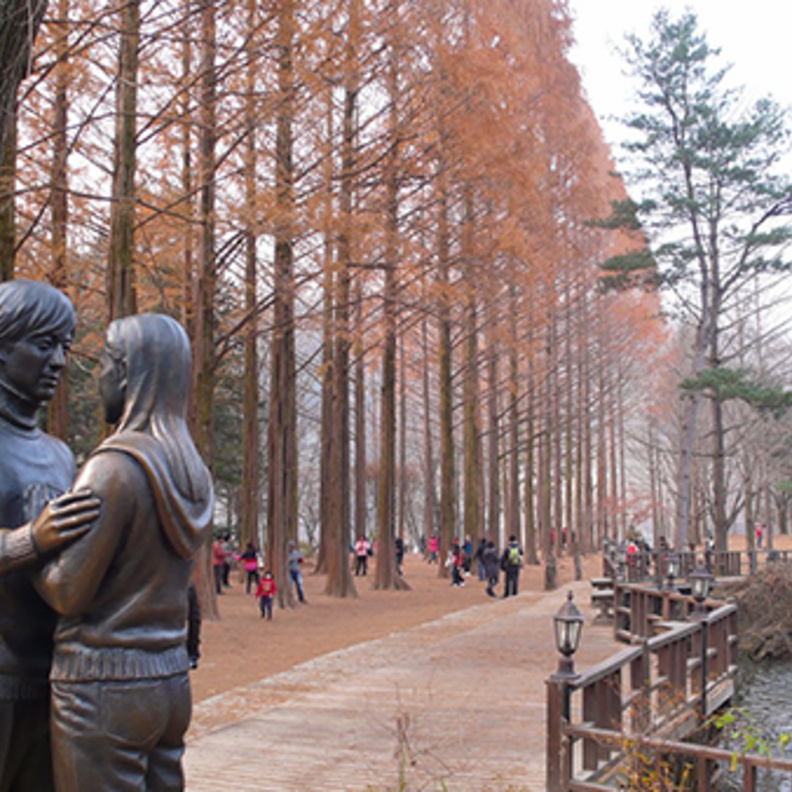 نامي .. جزيرة خلّابة تستريح في أحضان كوريا الجنوبية