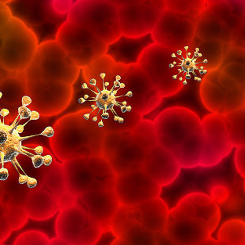 طفيل مرض اللمشانيا