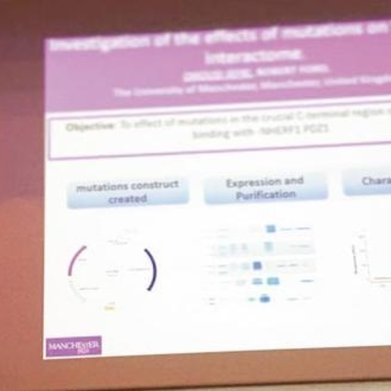 بحث المبتعثه