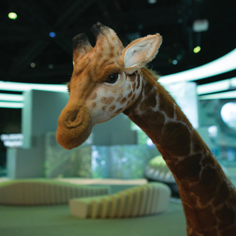 Orbi Dubai، متحف الطبيعة الأول من نوعه في الشرق الأوسط