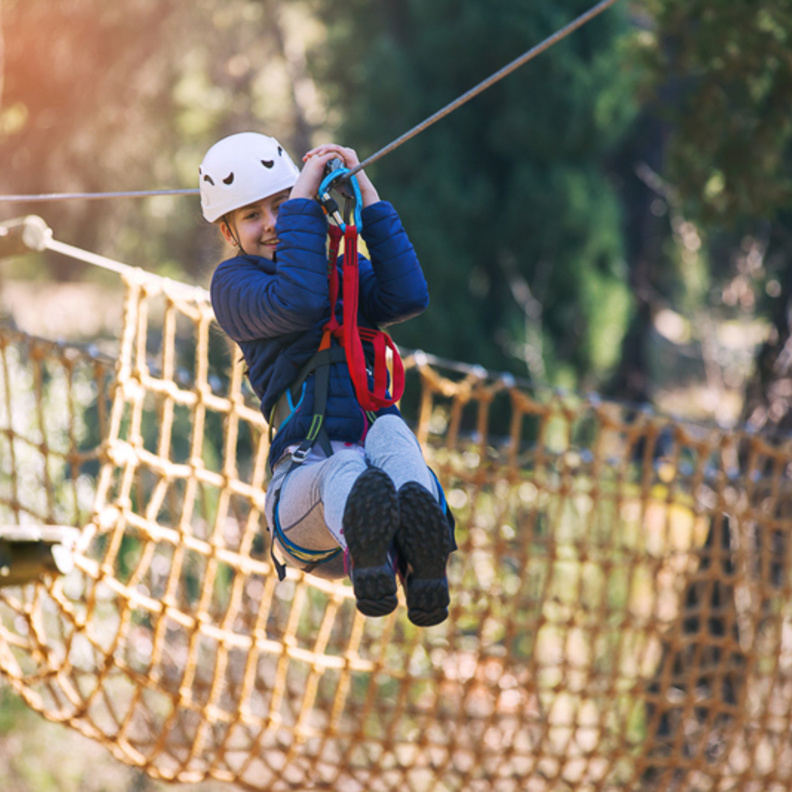 متعة لكلّ العائلة في غابات ترينت بارك 