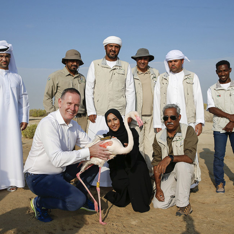 اطلاق "ماراثون أبوظبي للطيور" .. احتفاءً بعام زايد