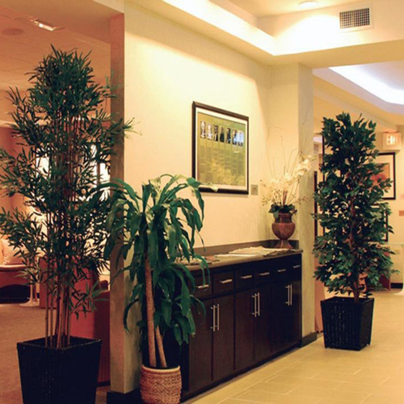 دولياً: "كلوب كينجزتون" في مطار كينجزتون نورمان مانلي الدولي.