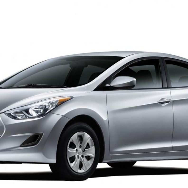 بالفيديو: أفعى تفاجئ ركاباً داخل سيارة