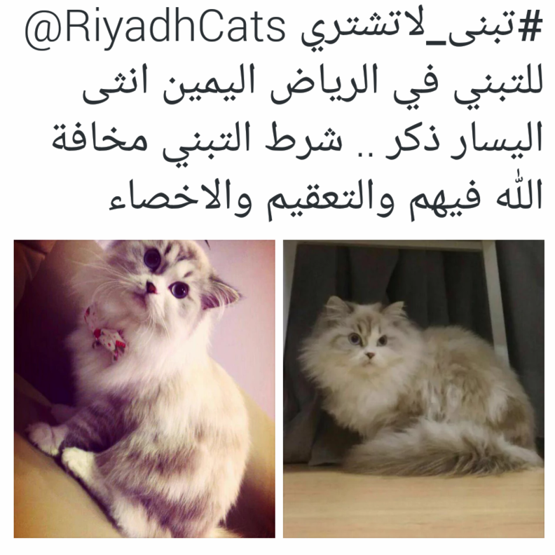 من عروض حساب تبنى لا تشتري