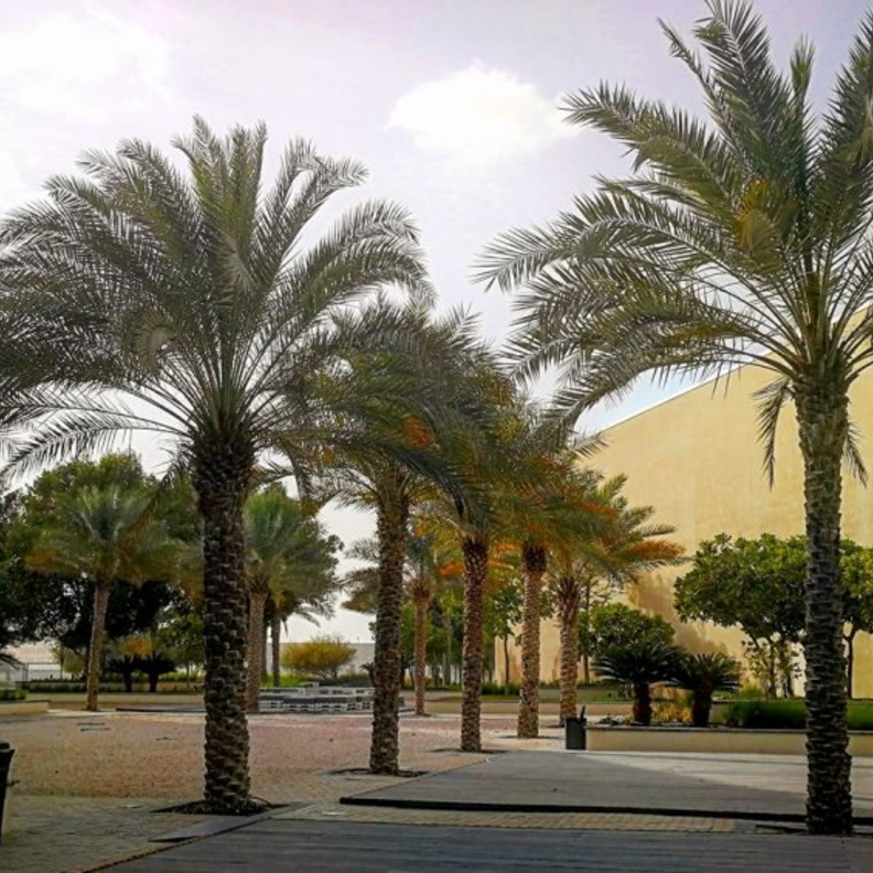 منارة السعديات أبوظبي