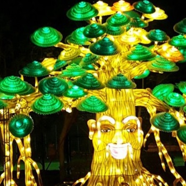 غداً افتتاح حديقة "دبي جاردن جلو"  في زعبيل