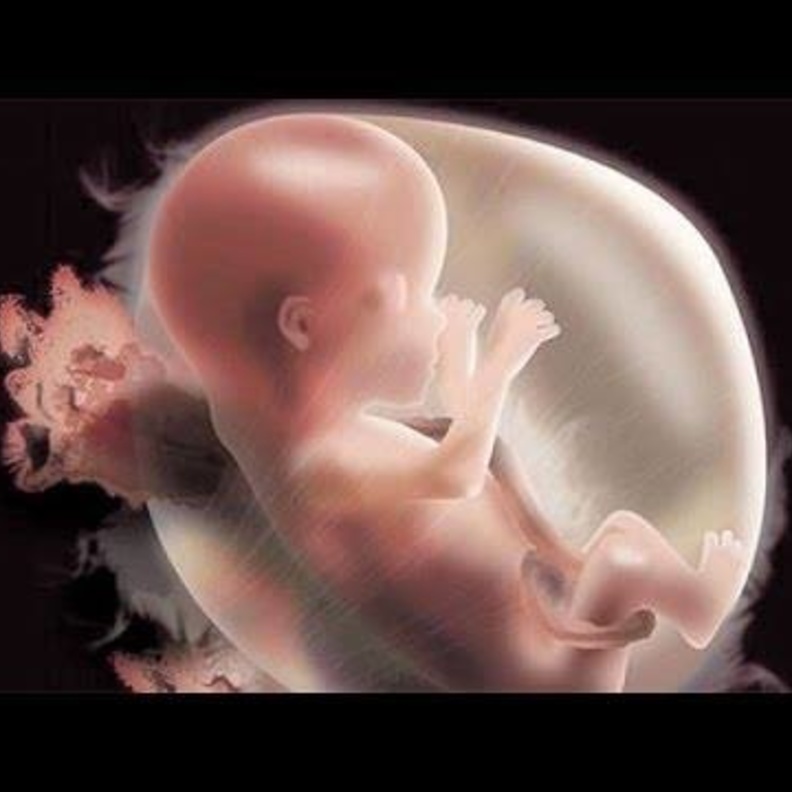 بعد مشاهدة هذا الفيديو لن تجرؤ أي إمرأة على إتخاذ قرار الإجهاض