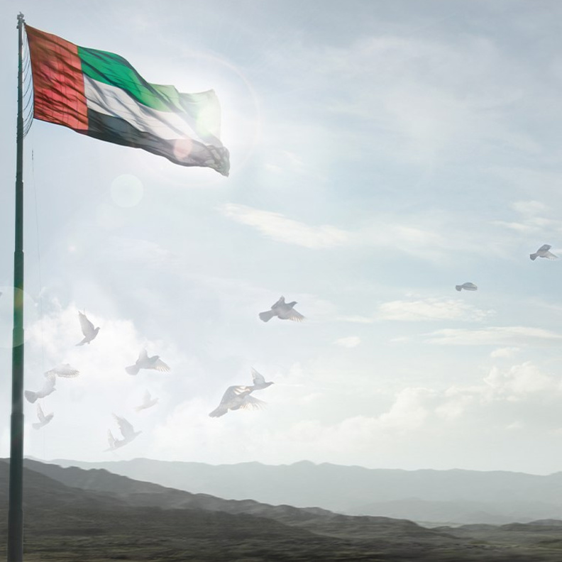 بمناسبة اليوم العالمي للتسامح .. الإمارات تعزز أسس التعايش والسلام