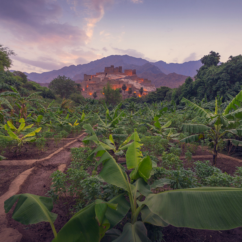 تعرفوا على قرية ذي عين في السعودية