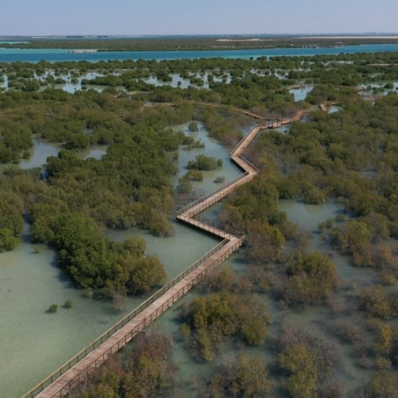 ممشى القرم في جزيرة الجبيل بأبوظبي
