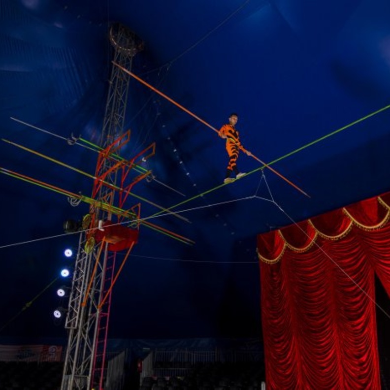 سيرك "فيغاس الشهير" في بوابة الشرق مول بأبوظبي