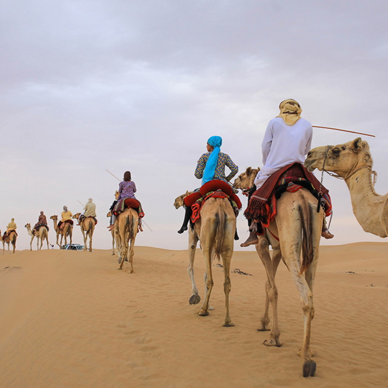 مخيم الحياة البدوية في المرموم بدبي  .. رحلة تراثية مميزة