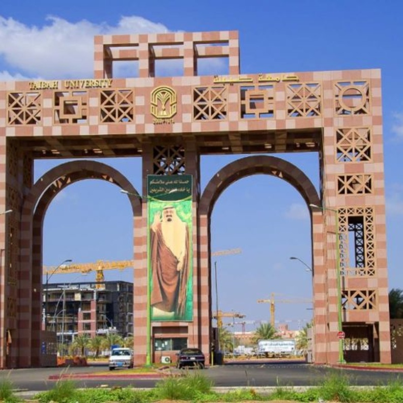 طبيبة سعودية بجامعة طيبة تكشف علاج للسرطان 