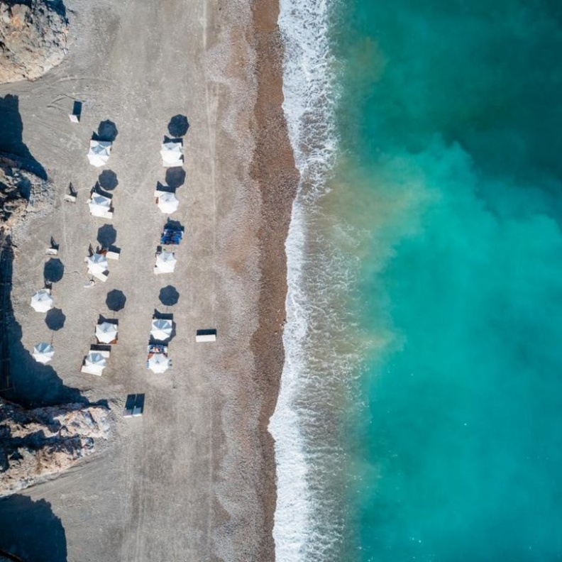 ذا تشيدي لوستيكا باي