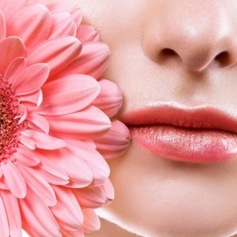 توريد الشفايف