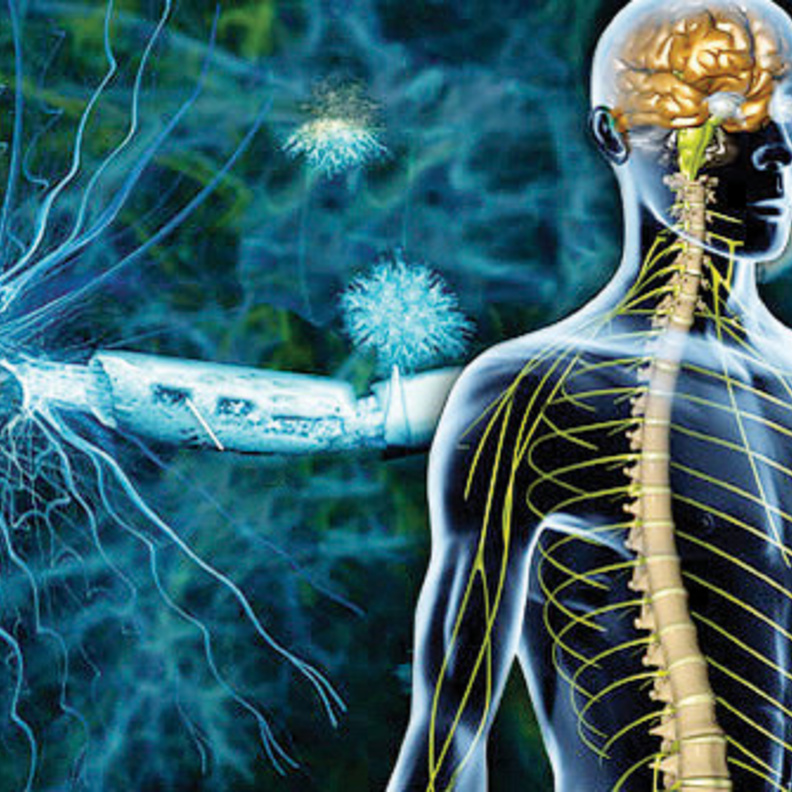 مرض التصلب المتعدد