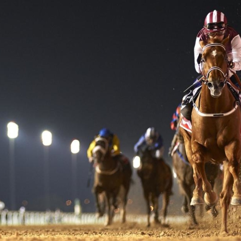 كأس دبي العالمي 2016 ..اغلى سباقات الفروسية في العالم