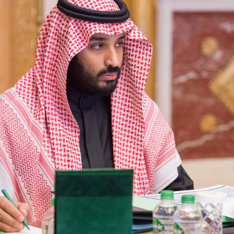 ولي ولي العهد محمد بن سلمان