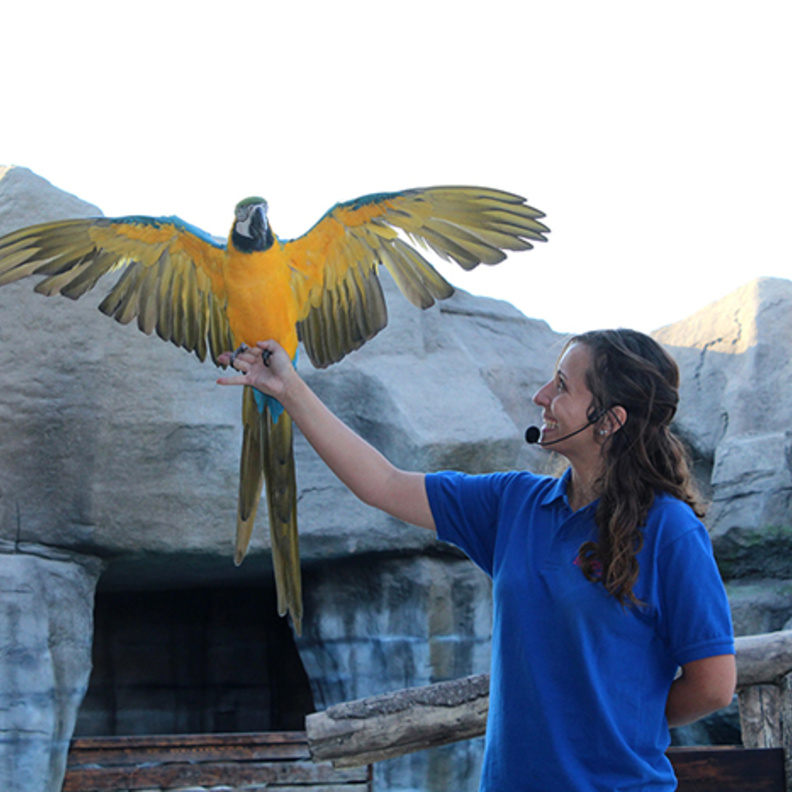 مسرح جديد للعروض التعليمية والتثقيفية في منتجع وحديقة الإمارات للحيوانات