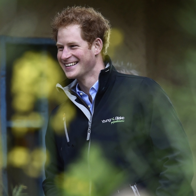 هل قرر الأمير هاري البحث عن زوجة؟