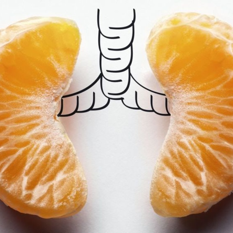 تناول الاغذية المفيدة للمحافظة عليها