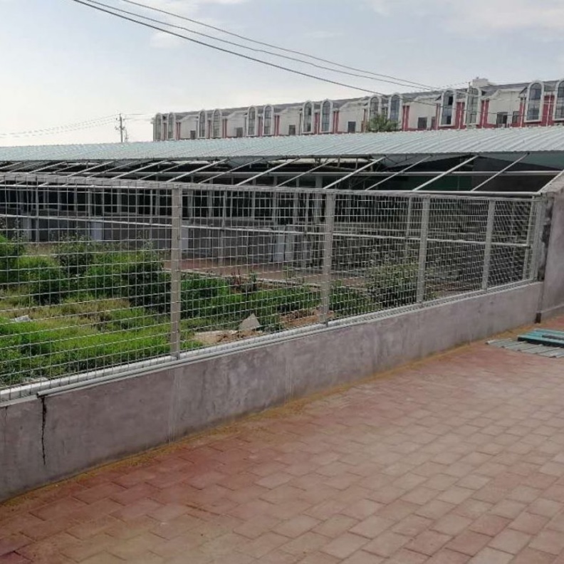 مشروع Elisabetta Franchi لحماية الكلاب