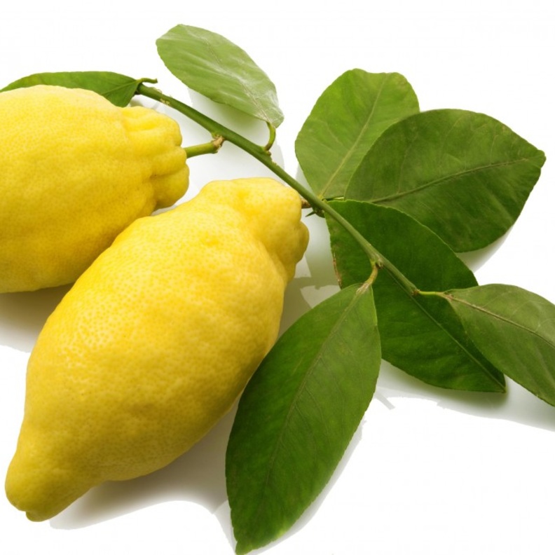 فاكهة المربعانية الأترنجية