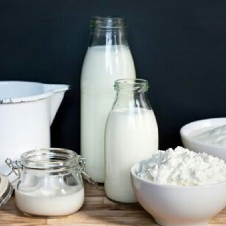 منتجات اللبن والحليب بديل جيد