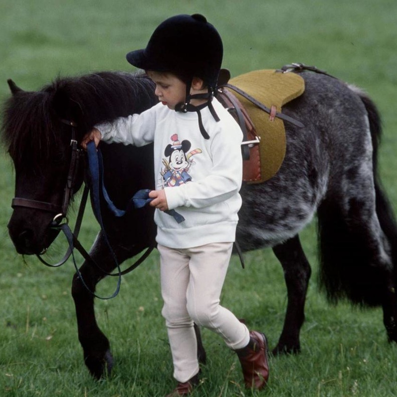 الامير وليام بصحبة حصانه الصغير