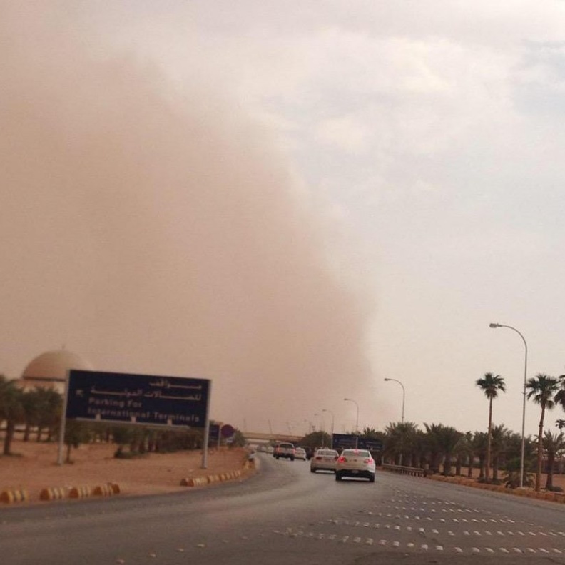 حماية مرضى الربو والحساسية داخل البيوت من الغبار مهم جداً للحفاظ على صحتهم 